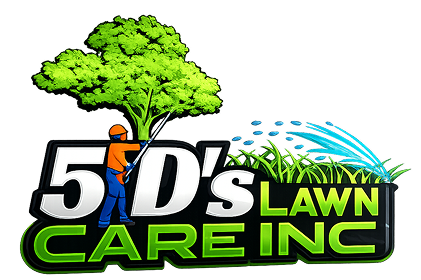 5d