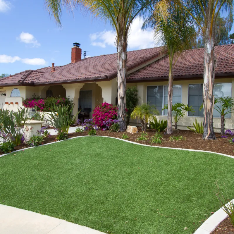 Lawn Care & Maintenance 1