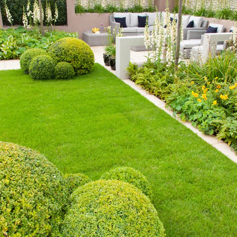 Lawn Care & Maintenance